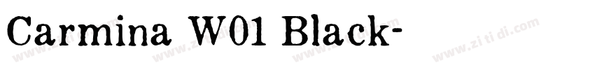 Carmina W01 Black字体转换